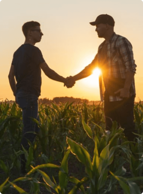 Handshake at sunset